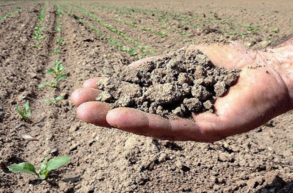 L’AGRICOLTURA ABRUZZESE E’ IN SOFFERENZA, LA REGIONE SI DIA UNA SVEGLIATA